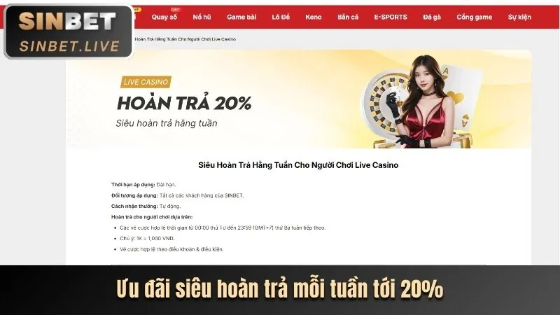 Các cấp độ VIP mlv88 nhà cái